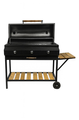 باربیکیو مدل B100-R1